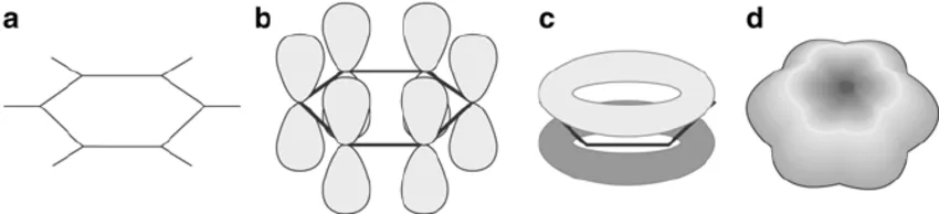 Delocalized pi electron cloud (torus shape)
